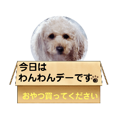 cocoa_20210508132418