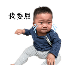 小寶貝們（程，瑋）