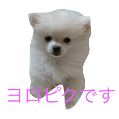 MIX coco