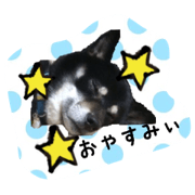 haru_taka