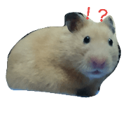 puniko__