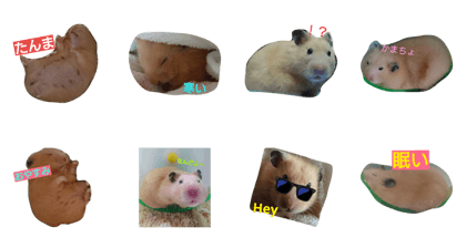 puniko__