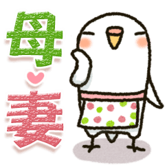 Budgerigar10