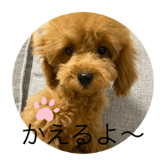 yukari_20210508170024