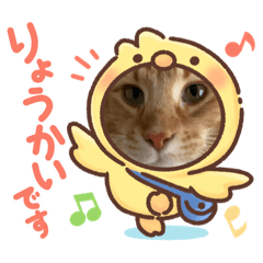 saya_20210508192955