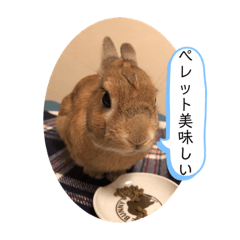 hana_20210508215740