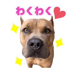 nozomi_20210509000847