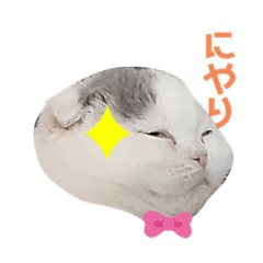 KAHO_20210509003309