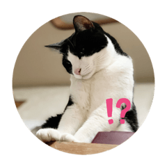 mizuki_20210508172922