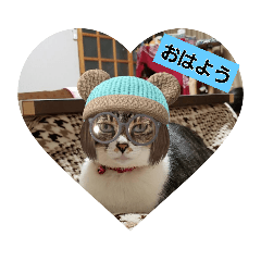 yukari_20210509094205