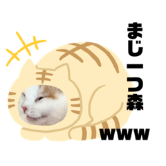 KAHO_20210509101850