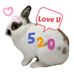 厭世a湯瑪士兔兔(第一彈）