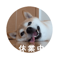 ka_itoh_20210508222741