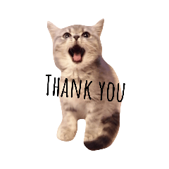 Nanami_20210509105146