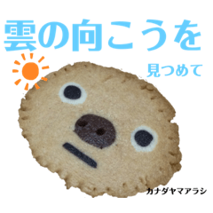 nanda zoo cookies 特徴