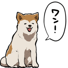 talking Akita dog