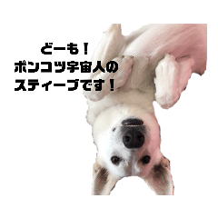 saori_20210509120524