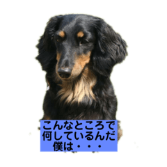 yukari_20210509001551