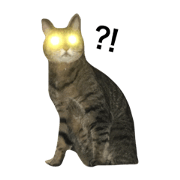 nekomurasan_20210509002043