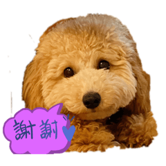miki_20210509002359