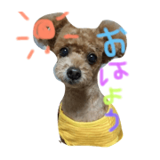 chacha_dog
