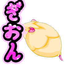 Gion Lovely hamster Chan 07