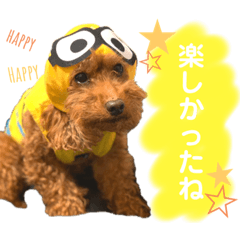 Natsumi_20210509122202