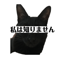 ねこ Lineクリエイターズスタンプまとめ Stamplist Part 13