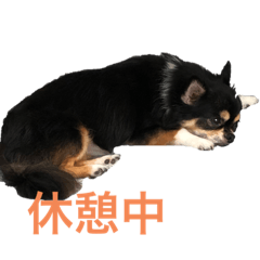 risa_20210509113106