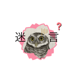 Happiness Owls