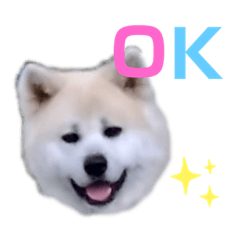 ringo_20210509140321