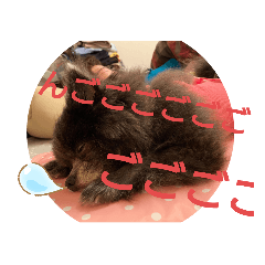 monmon_20210509101051