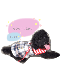 REI_20210509150224