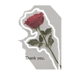 hikari_20210509113323