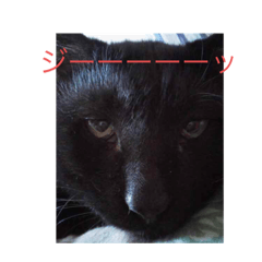 Sayuri_20210509144347