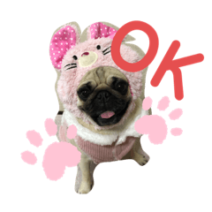 saori_20210509143934