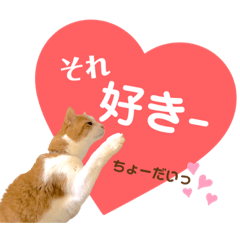 chie_20210509153249