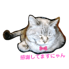 Kayo_20210509141631