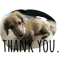 nanami_20210509160503