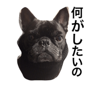 Parucoporo