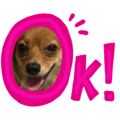 チワックスルークの1日  ２