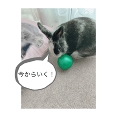 himawari_20210509175146