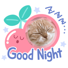 Honey_20210509175435