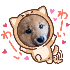 suzu_20210509205506