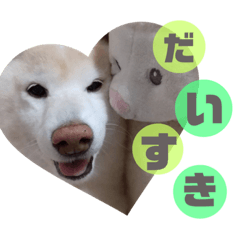 tomomi_20210509210656