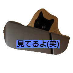 黒猫モナちゃん