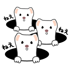 オコジョの毎日使えるスタンプ 大人 Line スタンプ Line Store オコジョの毎日使えるスタンプ 大人 Line スタンプ Line Store