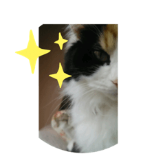 Sayuri_20210509233510