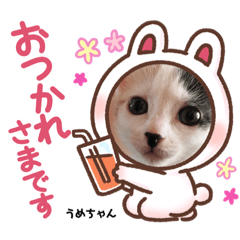 rina_20210509192756