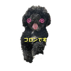 saori_20210509215320